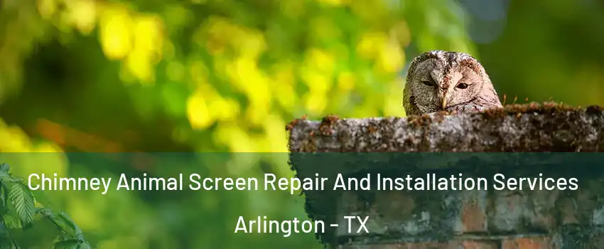 Chimney Animal Screen Repair And Installation Services Arlington - TX