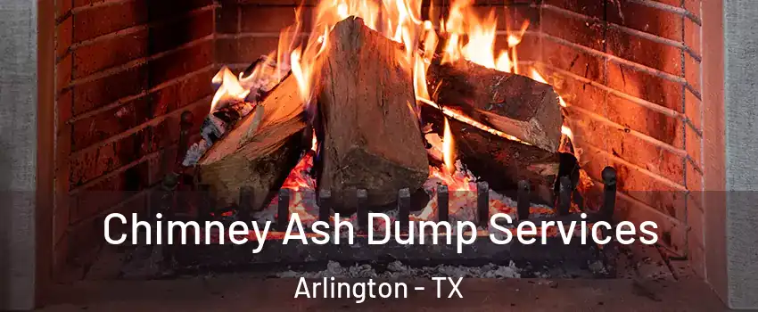Chimney Ash Dump Services Arlington - TX